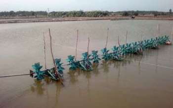 Bột thạch xử lí nước