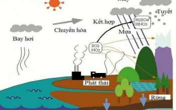 Mưa acid-Hóa Chất VT